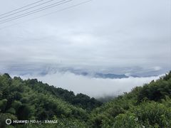 -大围山国家森林公园
