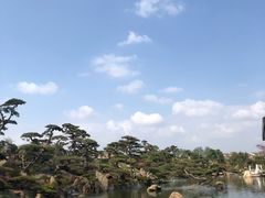 -罗红摄影艺术馆