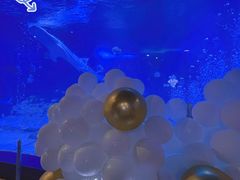 -烟台海昌鲸鲨海洋公园