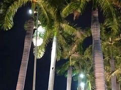 -深圳博林圣海伦酒店