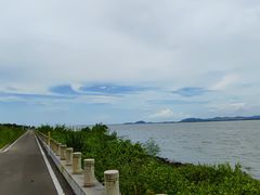 -芒洲湿地公园