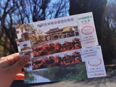 -金龙寺国家森林公园