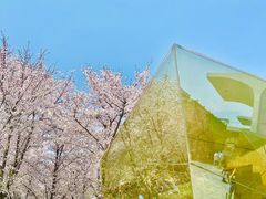 -龙美术馆(西岸馆)