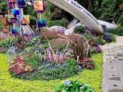 -深圳仙湖植物园