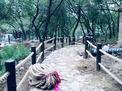 -北京鹫峰国家森林公园