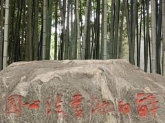 -上海醉白池公园
