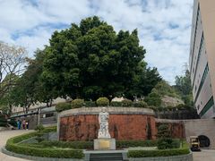 -广州神农草堂中医药博物馆