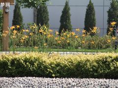 -康梦圆国际老年公寓