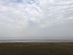 -春花秋色城市公园