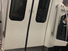 -巴厘龙虾·榜首油焖大虾(洞庭·艺术洋房店)