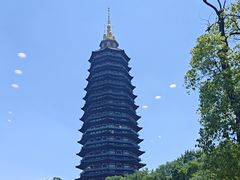 -听松楼·花园酒店·自助餐厅(红梅公园店)