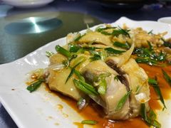葱油白切鸡-粤·向群饭店(龙津东路总店)