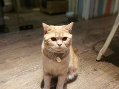 -小时光咖啡馆(开森度假森林店)