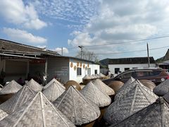 -苏州市吴中区光福窑上花果蜜饯厂