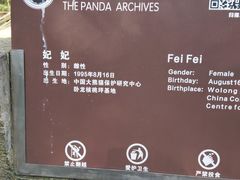 -都江堰中华大熊猫苑