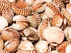 -巽寮印象美食部落餐厅·海鲜·地方特色菜(惠州体验店)