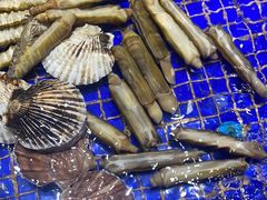 -高佳庄·舟山海鲜(海景旗舰店)