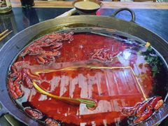 -肥龙火锅(南坪店)