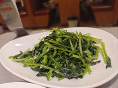 -日照人家·山东老字号