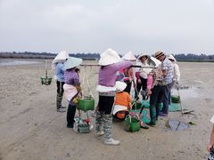 -红树林天天赶海