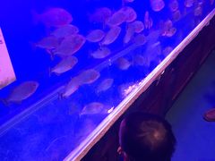 -龙湖虹桥天街购物中心-地下停车场