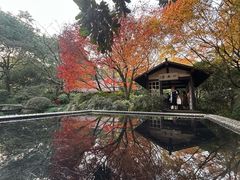 -中国茶叶博物馆(双峰馆区)