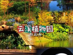 -云溪植物园