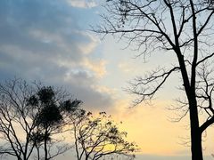 -广州市白云山风景名胜区
