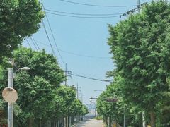 -双季花艺园艺市场(浦东店)