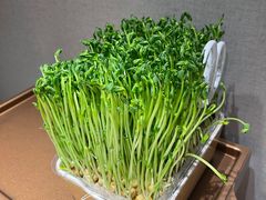 -海底捞火锅(方塔东街店)