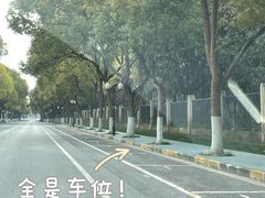 -新洲生态园