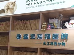 -瑞派长江宠物医院·猫科·外科·24小时夜护(谊城公寓分院)