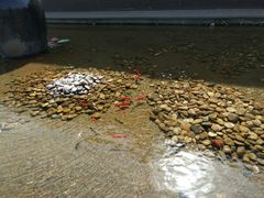 -梧桐餐厅(泉城路店)