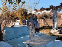 -安德鲁户外烧烤帐篷营地(马泉营店)