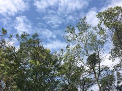 -广州市白云山风景名胜区