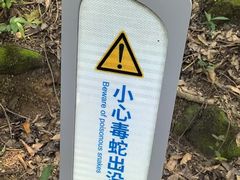 -火炉山森林公园