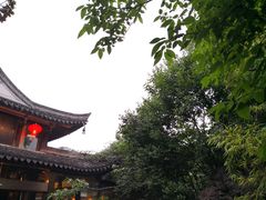 -善园(月湖盛园店)