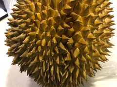 -鲜力达果品批发直销(青山店)