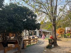 -HERRE·FARM 赫尔露营农场·团建聚会包场