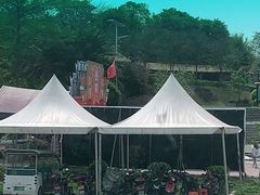 -天适樱花悠乐园