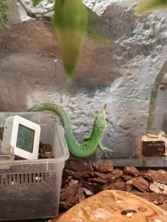 -Zoolung Zoolung动物主题公园(海信广场店)