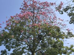 -顺发饮食店(景泰西六巷店)