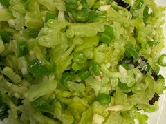 -院里寻菜·精致庭院菜(观沙岭店)