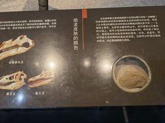 -浙江自然博物院(杭州馆)