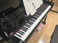 -珠江钢琴艺术中心(文一路店)
