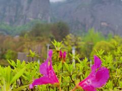 -玻璃桥景区石牛寨