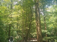 -国家植物园南园