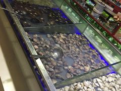 -蒙肥羊·酸汤潮牛·鲜牛肉火锅烤肉自助(岗顶店)