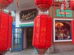 -青岛方特梦幻王国