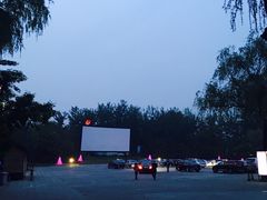 -枫花园汽车电影院(朝阳公园店)